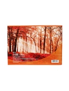 Альбом для рисования Calligrata «Лес осенью» А4, 40 листов на скрепке, обложка мелованный картон, внутренний блок офсет 100 г/м² - Фото 6