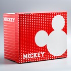 Складная коробка "Микки Маус и друзья", Микки Маус, 30,5 х 24,5 х 16,5 - Фото 1