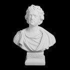 Гипсовая фигура известные люди: Бюст Петра I, 14,5 х 10 х 19,5 см - фото 8830916