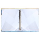 Папка школьная на кольцах «Портфолио ученика», без разделителей, 24.5×32 см - Фото 3