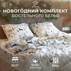 Постельное белье Этель Дуэт Let it snow (вид 1) 143*215 см - 2 шт, 240*220 см, 70*70 см - 2 шт - фото 808839923