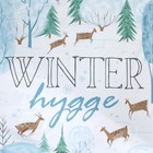 Постельное бельё «Этель» 1.5 сп Winter hygge 143х215 см, 150х214 см, 70х70 см - 2 шт - Фото 3