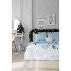 Постельное бельё «Этель» 1.5 сп Winter hygge 143х215 см, 150х214 см, 70х70 см - 2 шт - Фото 6