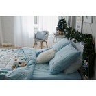 Постельное бельё «Этель» 2 сп Winter hygge 175х215 см, 200х220 см, 70х70 см - 2 шт - Фото 9