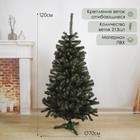 Искусственная ёлка «Таёжная», 120 см, d нижнего яруса 70 см, 213 ПВХ веток отгибаются - Фото 1