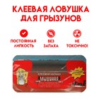 Клеевая ловушка для грызунов «Крысиная и мышиная смерть №1», 1 шт. - Фото 1
