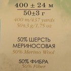 Пряжа "Детский каприз трикотажный" 50%мер. шерсть, 50% фибра 400м/50гр (1130 мятный леденец) - Фото 3