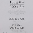 Пряжа "Народная традиция" 30% шерсть 70% акрил 100м/100гр (272 вишня) - Фото 3