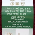 Пряжа "Народная" 30% шерсть, 70% акрил объёмный 220м/100гр (07 бордо) - Фото 3