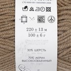 Пряжа "Народная" 30% шерсть, 70% акрил объёмный 220м/100гр (165 т. бежевый) - Фото 3
