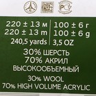 Пряжа "Народная" 30% шерсть, 70% акрил объёмный 220м/100гр (21 брусника) - Фото 4
