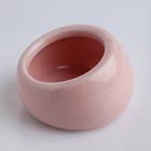 Миска керамическая для грызунов со скошенным краем 30 мл  5,7 х 5,7 х 3,5 см, розовая - фото 9479670