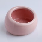 Миска керамическая для грызунов со скошенным краем 30 мл  5,7 х 5,7 х 3,5 см, розовая - фото 9479672
