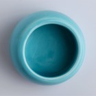 Миска керамическая для грызунов со скошенным краем, 30 мл, 5,7 х 5,7 х 3,5 см, голубая - Фото 2