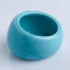 Миска керамическая для грызунов со скошенным краем, 30 мл, 5,7 х 5,7 х 3,5 см, голубая - Фото 3