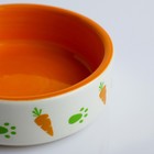 Миска керамическая с морковками 100 мл  8,8 х 8,8 х 3 см, оранжево-белая - фото 9479675