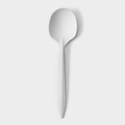 Набор одноразовых ложек из кукурузного крахмала Nature, 14 см, 6 шт - Фото 3