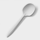 Набор одноразовых ложек из кукурузного крахмала Nature, 14 см, 6 шт - Фото 4