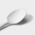 Набор одноразовых ложек из кукурузного крахмала Nature, 14 см, 6 шт - Фото 5