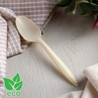 Набор одноразовых ложек из кукурузного крахмала Nature, 14 см, 6 шт - Фото 9