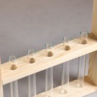 Кашпо деревянное 25х40х4,5 см с 5 колбами "Рамка Экстра", натуральный Дарим Красиво - Фото 4