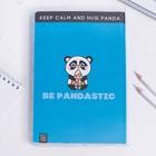 Ежедневник с обложкой шейкер «Панда», А5, 96 листов - фото 33368242