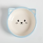 Миска керамическая круглая "Кошачья мордочка", 250 мл, 13,2 х 13,2 х 5 см, бело-голубая - Фото 2