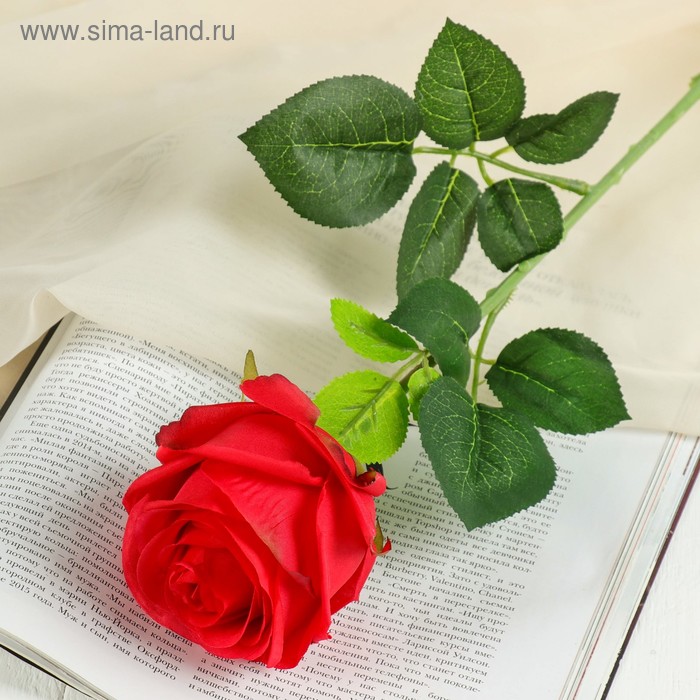 Цветы искусственные "Роза арабская" 8*55 см, красная - Фото 1