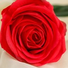 Цветы искусственные "Роза арабская" 8*55 см, красная - Фото 2