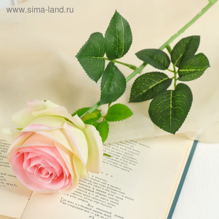 Цветы искусственные "Роза арабская" 8*55 см, розовая - Фото 1