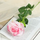 Цветы искусственные "Роза ариозо" 10*55 см, розовая - фото 62077499