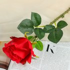 Цветы искусственные "Роза колумбийская" 8*46 см, красная - Фото 1