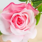 Цветы искусственные "Роза Глория" 8х48 см, розовый - Фото 2