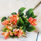 Цветы искусственные "Магнолия" 5х56 см, персиковый - Фото 1