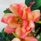 Цветы искусственные "Магнолия" 5х56 см, персиковый - Фото 2