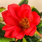 Цветы искусственные "Магнолия" 5*56 см, красная - Фото 2