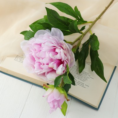 Цветы искусственные «Пион дуо», 12×60 см, сиреневые