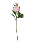 Цветы искусственные 'Пион дуо' 12 60 см, сиреневый - фото 809465989