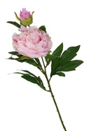 Цветы искусственные 'Пион дуо' 12 60 см, сиреневый - фото 809465990