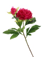 Цветы искусственные "Пион дуо" 12*60 см, фиолетовый - фото 809465993