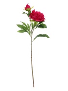 Цветы искусственные «Пион дуо», 12×60 см, бордовые - Фото 5