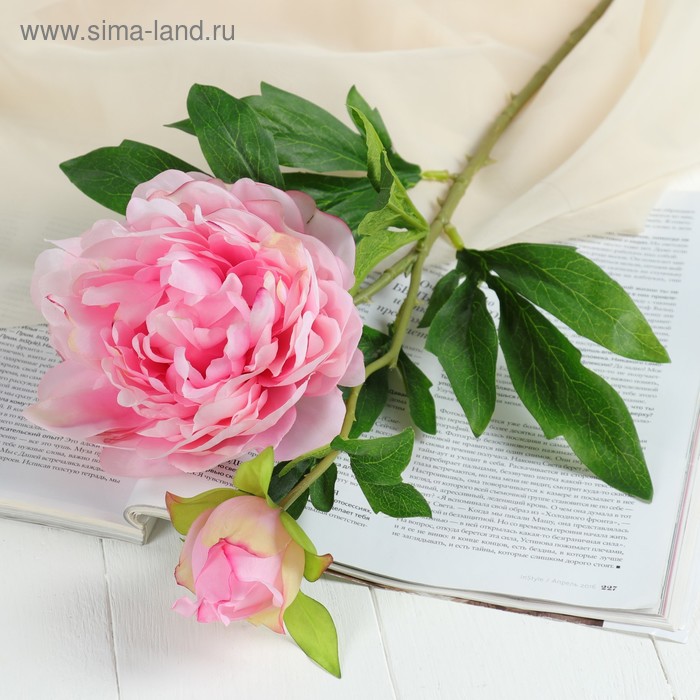 

Цветы искусственные "Пион дуо" 12х60 см, розовый