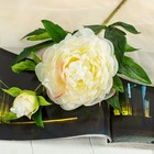 Цветы искусственные "Пион дуо" 12х60 см, белый - фото 318203273