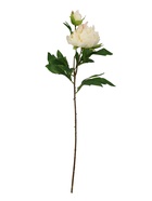 Цветы искусственные "Пион дуо" 12*60 см, белый - фото 809465995