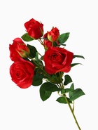 Цветы искусственные 'Розочки кустовые' 8 65 см, красный - фото 809168789