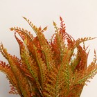 Бонсай «Папоротник», 14×22 см, МИКС - фото 29527725