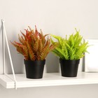 Бонсай «Папоротник», 14×22 см, МИКС - фото 29527726