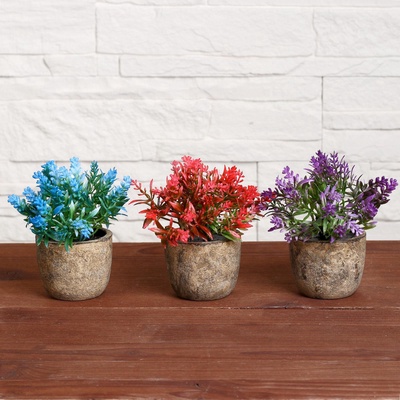 Искусственный цветок в горшке «Седум», 6×10 см, МИКС