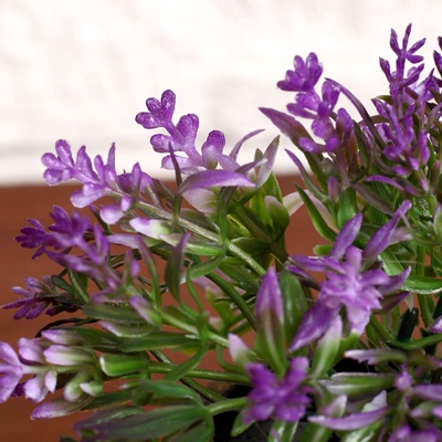 Искусственный цветок в горшке «Седум», 6×10 см, МИКС