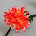 Декор тинги "Астра пышная" 150 см, микс (фасовка 5 шт, цена за 1шт) (комплект 5 шт) - фото 49512575